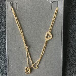 Ketting goud dubbel stainless steel