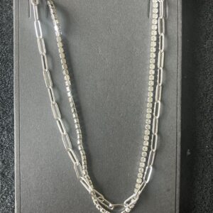 Ketting dubbel zilver stainless steel